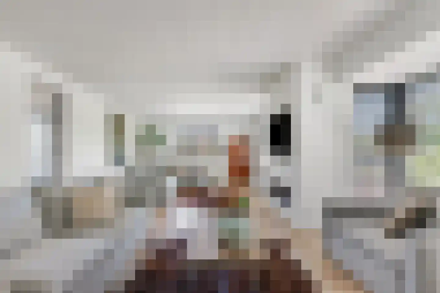 Waalbandijk 17 Dodewaard thumbnail 7
