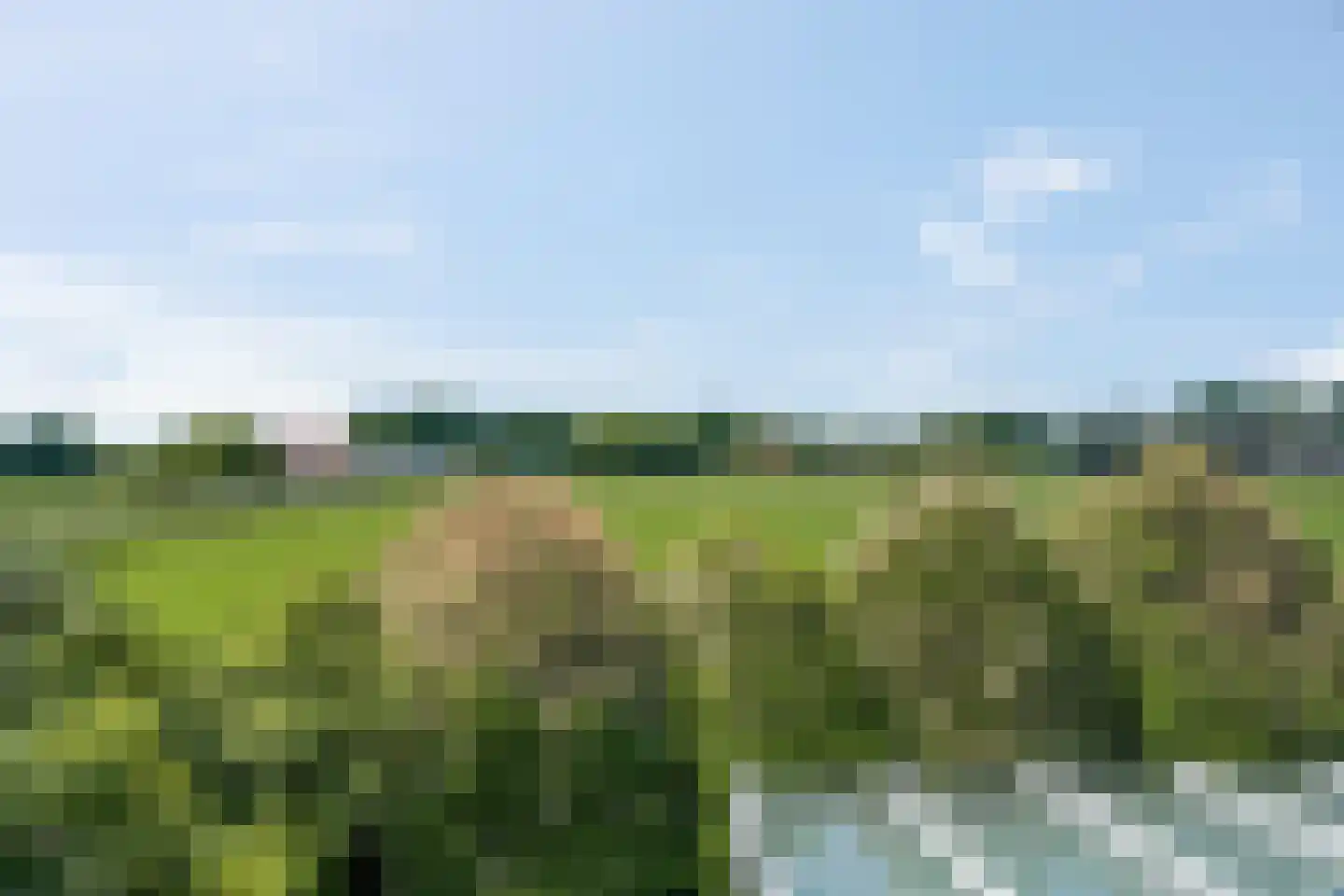 Waalbandijk 17 Dodewaard thumbnail 71