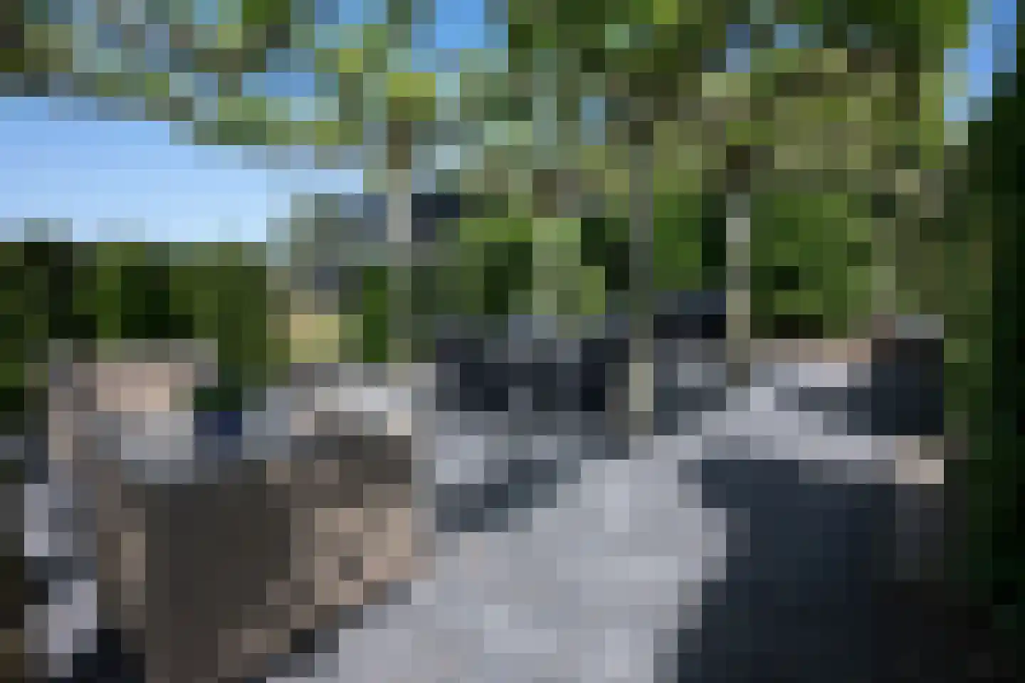 Waalbandijk 17 Dodewaard thumbnail 74