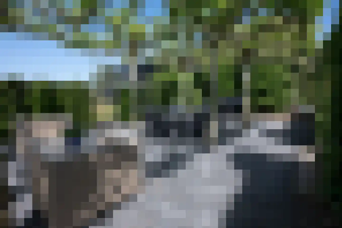 Waalbandijk 17 Dodewaard thumbnail 75