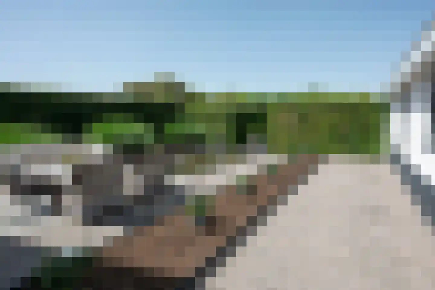 Waalbandijk 17 Dodewaard thumbnail 76