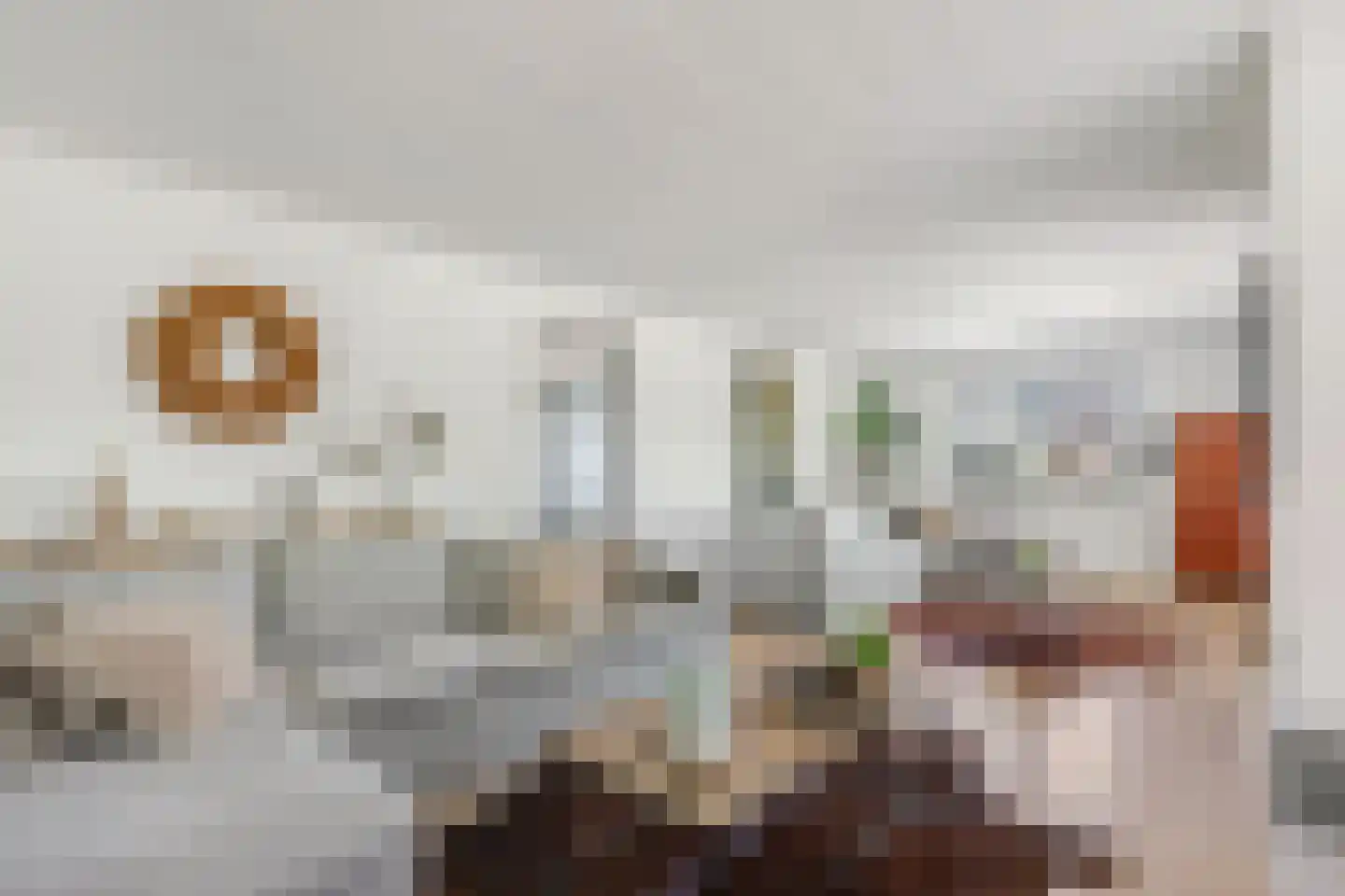 Waalbandijk 17 Dodewaard thumbnail 8