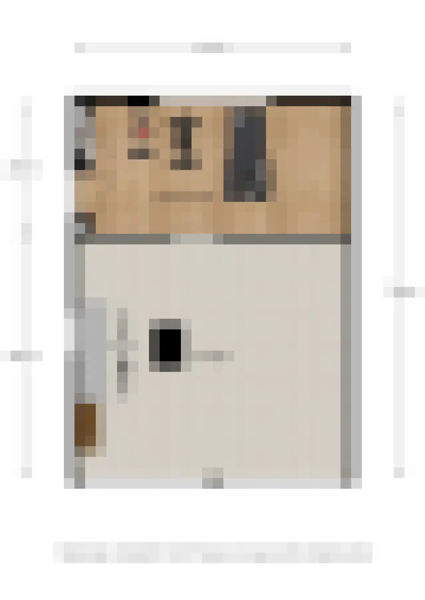 Waalbandijk 17 Dodewaard thumbnail 84