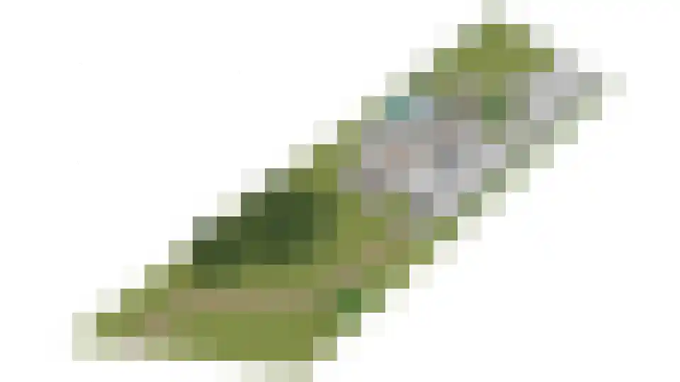 Waalbandijk 17 Dodewaard thumbnail 86