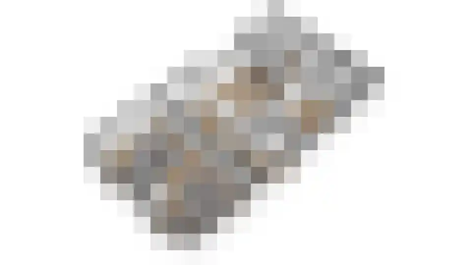 Waalbandijk 17 Dodewaard thumbnail 87