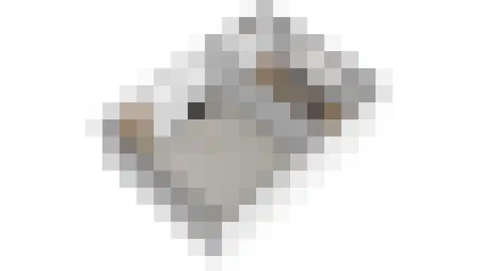 Waalbandijk 17 Dodewaard thumbnail 91