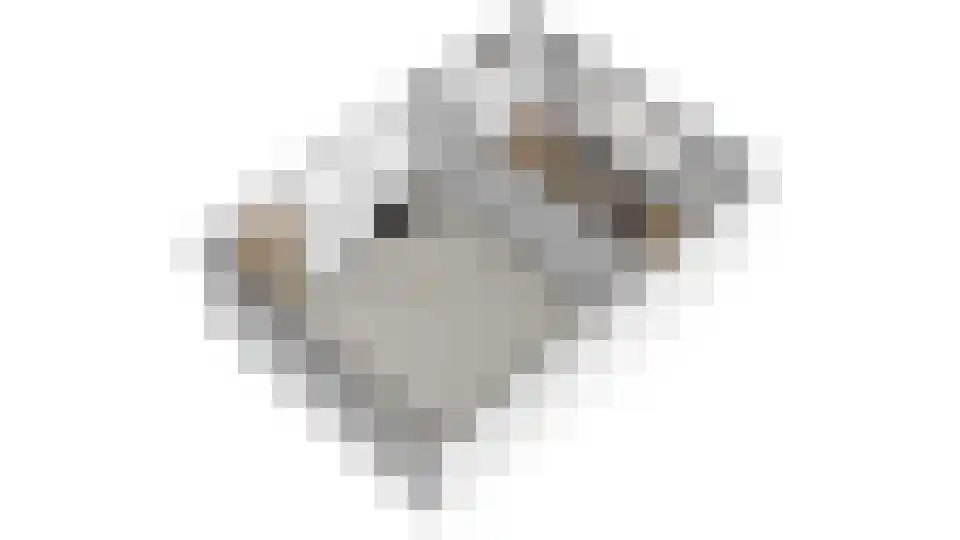 Waalbandijk 17 Dodewaard thumbnail 92