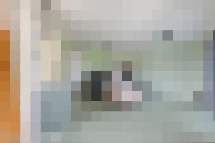 Waalbandijk 2 b Varik thumbnail 101