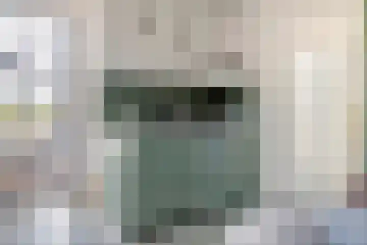 Waalbandijk 2 b Varik thumbnail 104