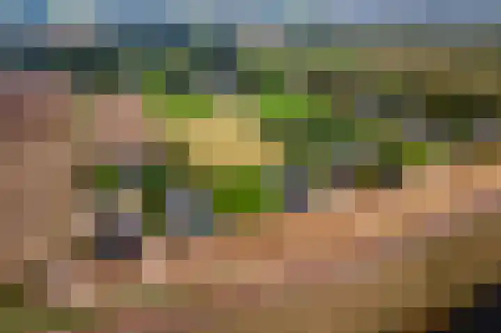 Waalbandijk 2 b Varik thumbnail 105