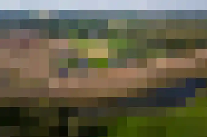 Waalbandijk 2 b Varik thumbnail 106