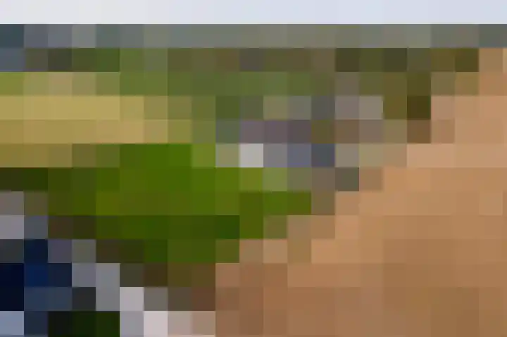 Waalbandijk 2 b Varik thumbnail 107