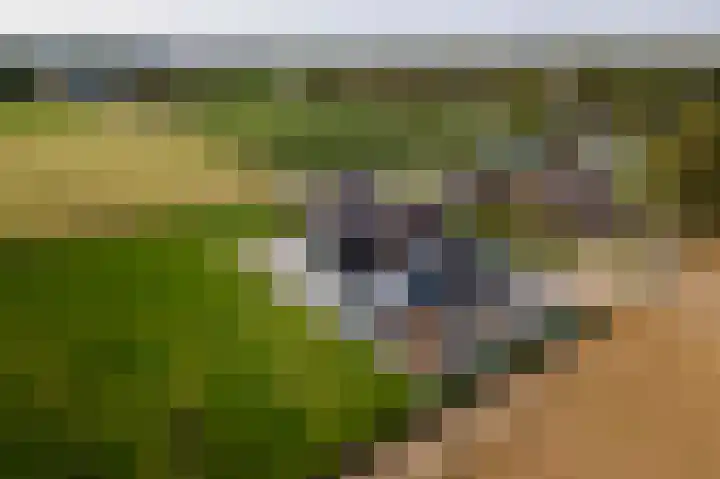 Waalbandijk 2 b Varik thumbnail 108