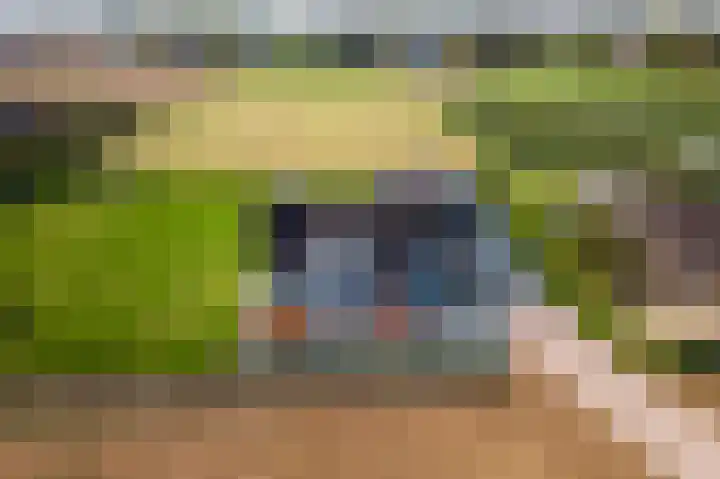Waalbandijk 2 b Varik thumbnail 109