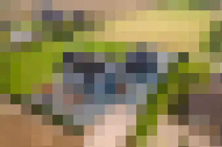 Waalbandijk 2 b Varik thumbnail 110