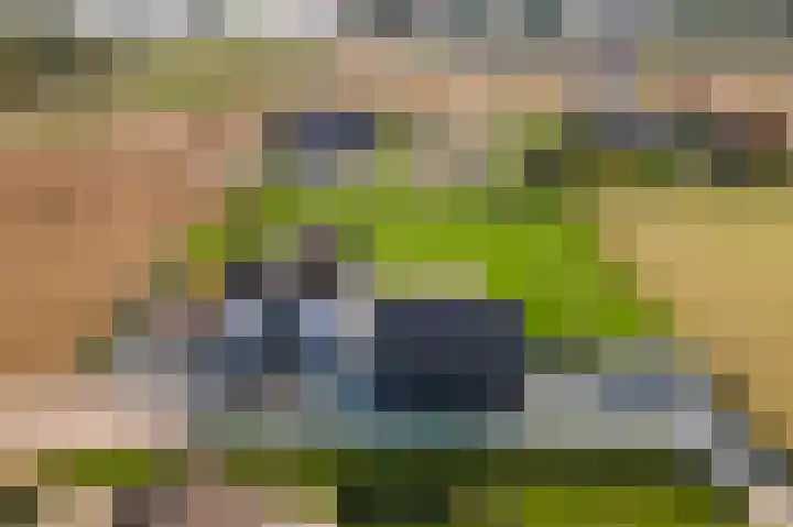 Waalbandijk 2 b Varik thumbnail 111
