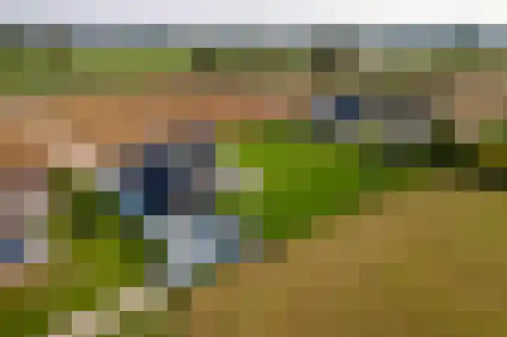 Waalbandijk 2 b Varik thumbnail 112