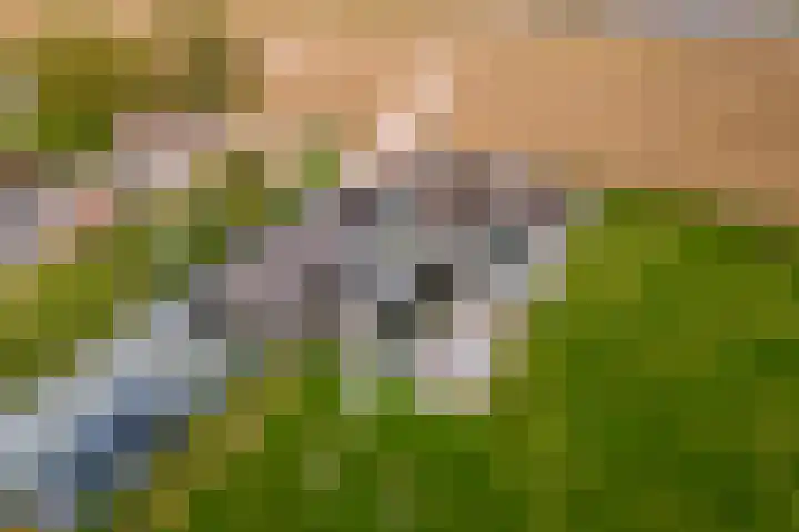 Waalbandijk 2 b Varik thumbnail 115