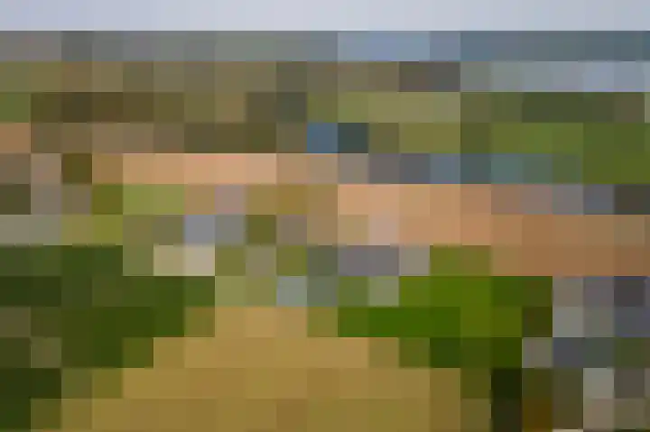 Waalbandijk 2 b Varik thumbnail 116