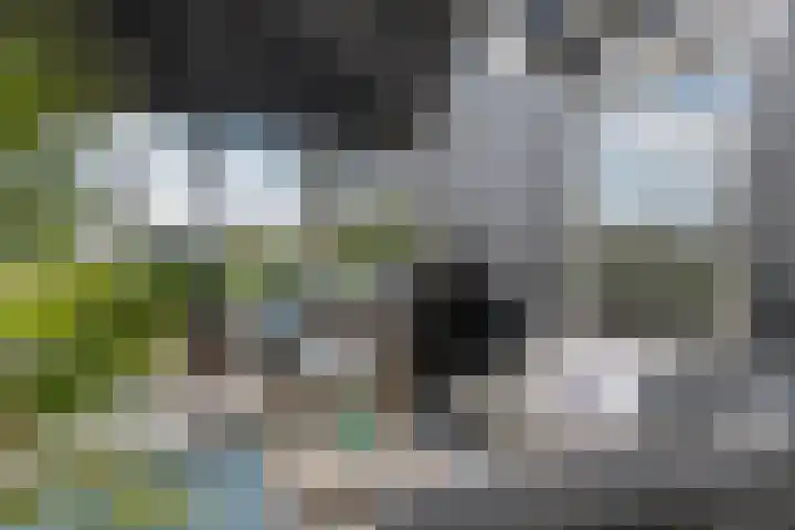 Waalbandijk 2 b Varik thumbnail 12
