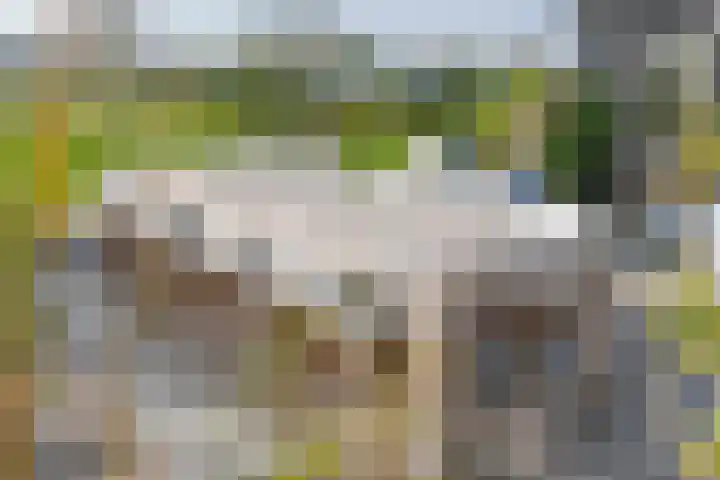 Waalbandijk 2 b Varik thumbnail 17