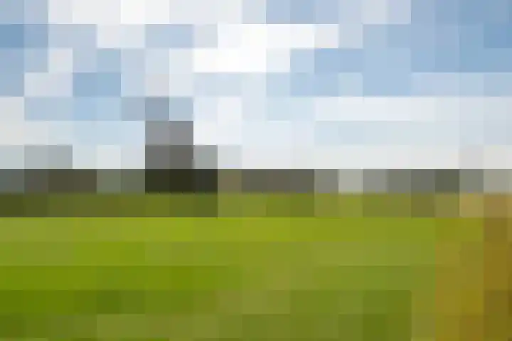 Waalbandijk 2 b Varik thumbnail 21