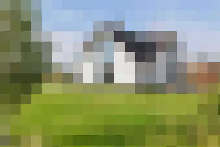 Waalbandijk 2 b Varik thumbnail 23