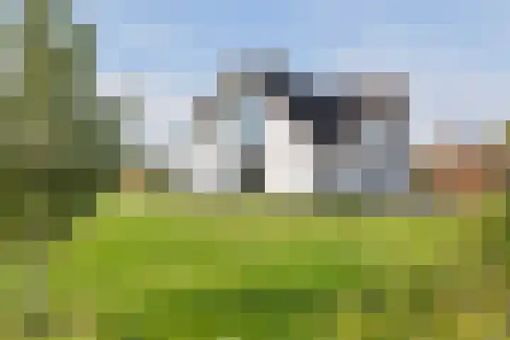 Waalbandijk 2 b Varik thumbnail 24