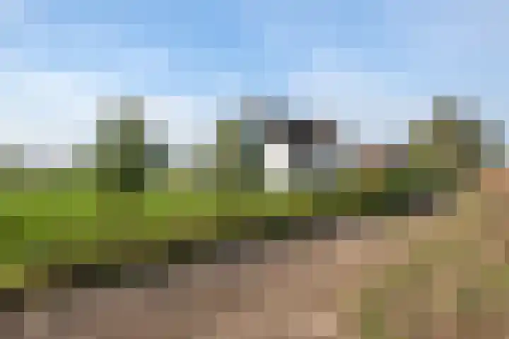 Waalbandijk 2 b Varik thumbnail 25
