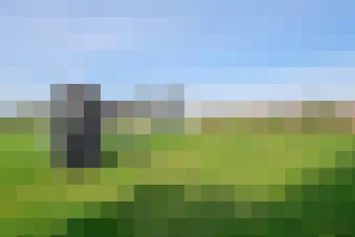Waalbandijk 2 b Varik thumbnail 26