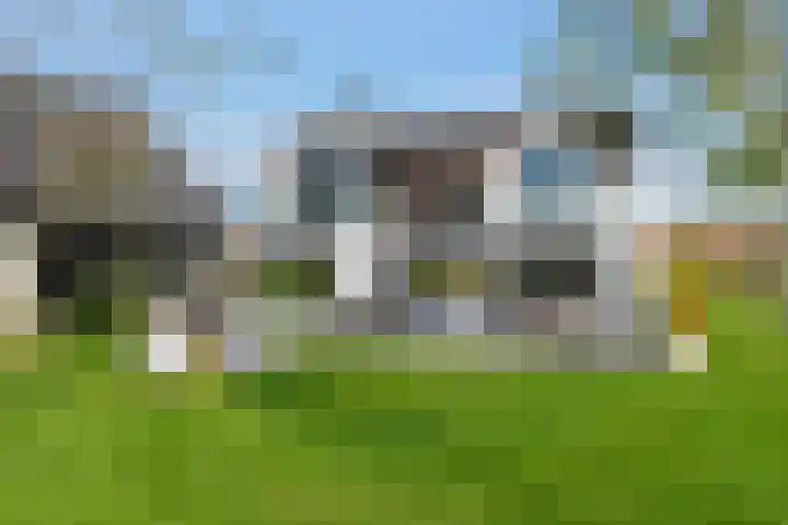 Waalbandijk 2 b Varik thumbnail 29