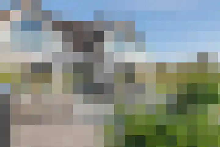 Waalbandijk 2 b Varik thumbnail 31