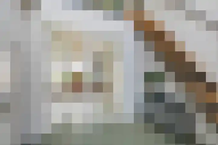 Waalbandijk 2 b Varik thumbnail 36