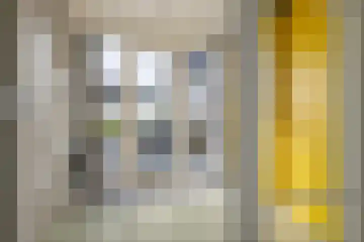 Waalbandijk 2 b Varik thumbnail 58