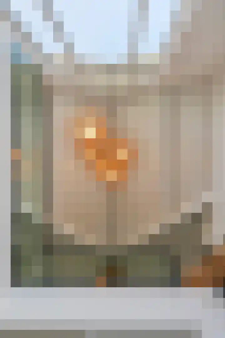 Waalbandijk 2 b Varik thumbnail 60