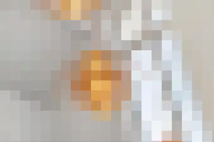 Waalbandijk 2 b Varik thumbnail 61