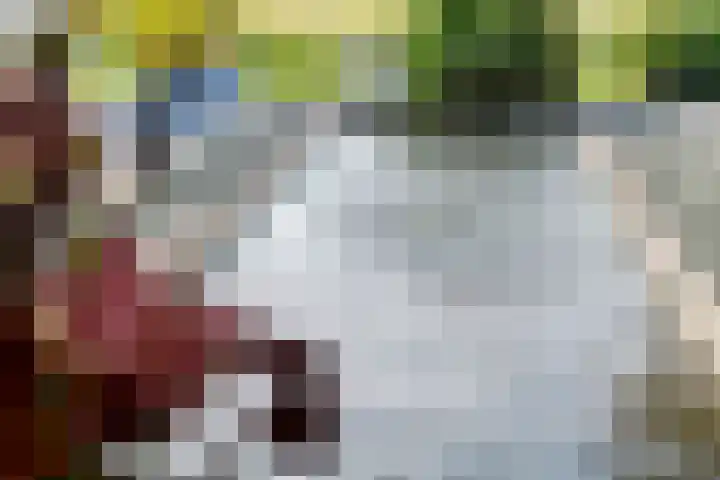 Waalbandijk 2 b Varik thumbnail 63