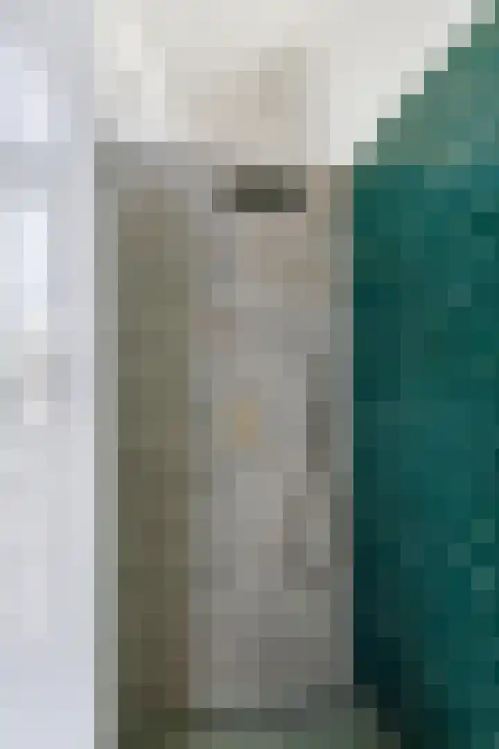 Waalbandijk 2 b Varik thumbnail 82