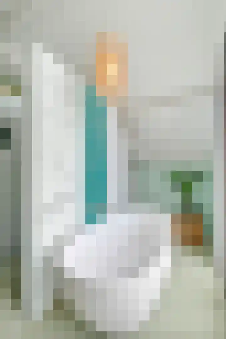 Waalbandijk 2 b Varik thumbnail 83