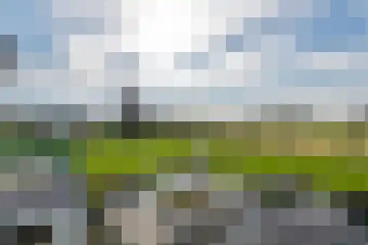 Waalbandijk 2 b Varik thumbnail 84