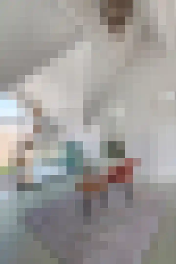 Waalbandijk 2 b Varik thumbnail 86