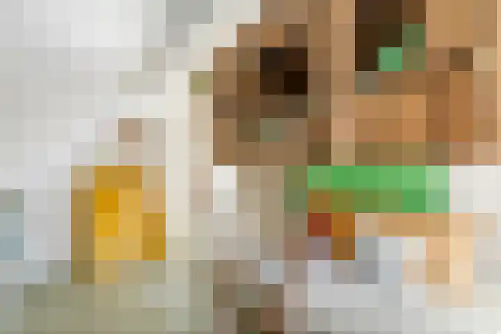 Waalbandijk 2 b Varik thumbnail 88