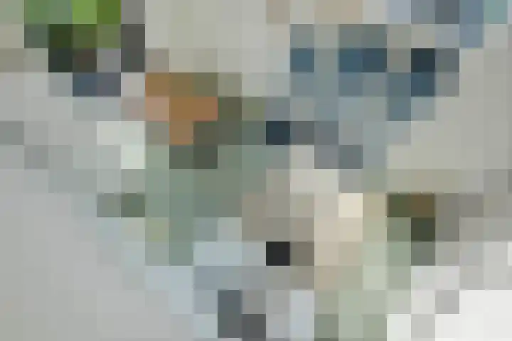 Waalbandijk 2 b Varik thumbnail 93