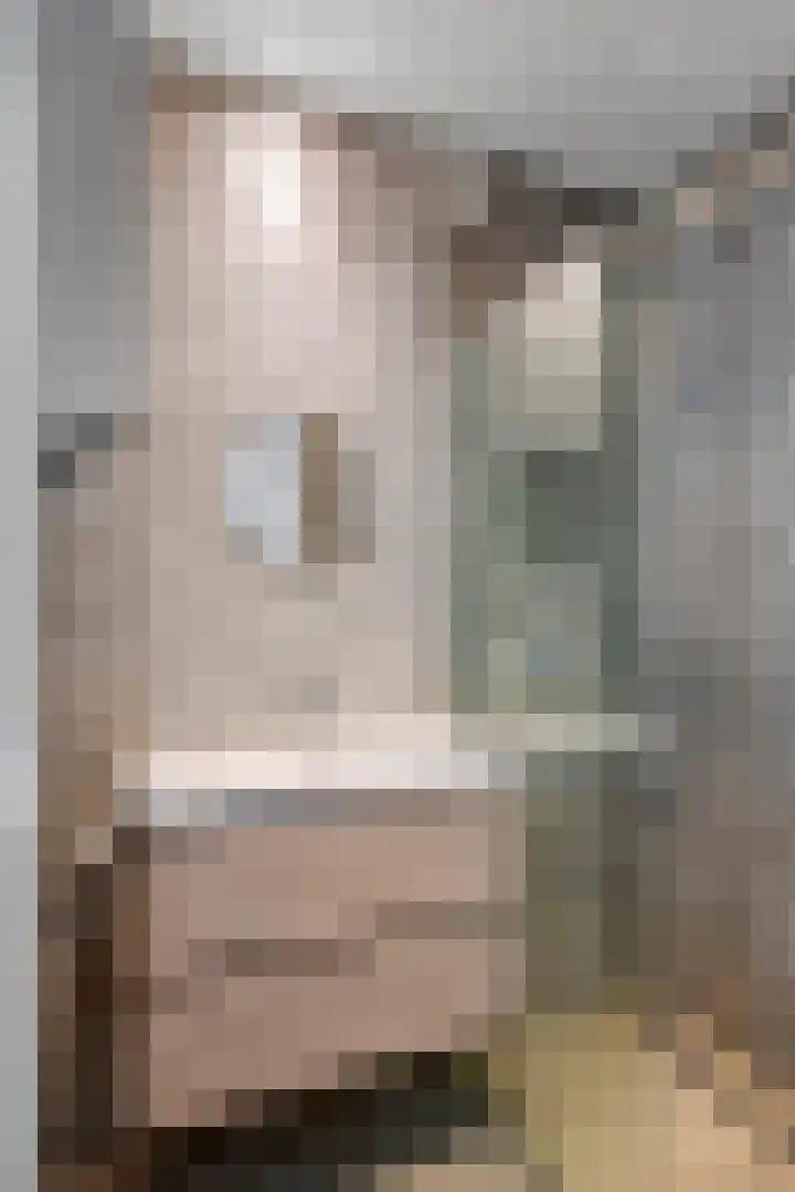 Waalbandijk 2 b Varik thumbnail 94