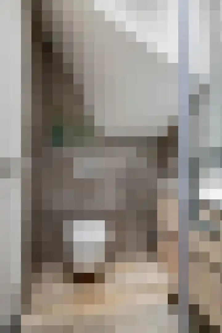 Waalbandijk 2 b Varik thumbnail 95
