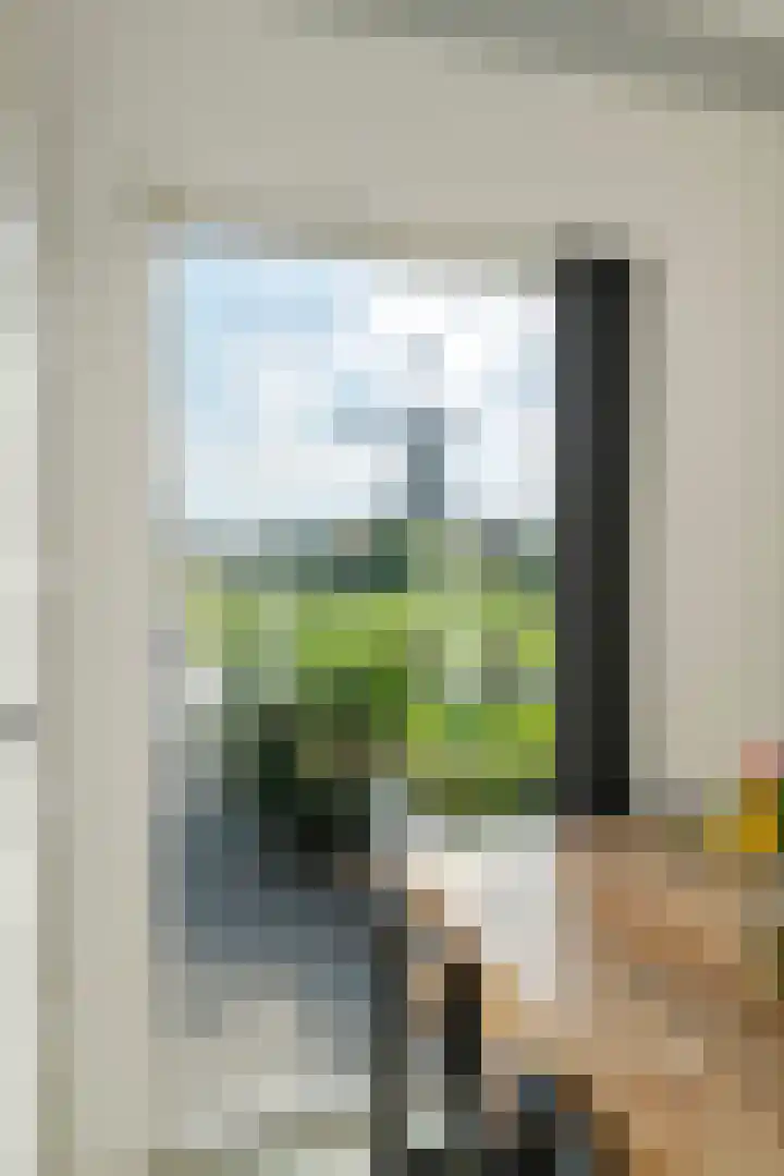 Waalbandijk 2 b Varik thumbnail 96