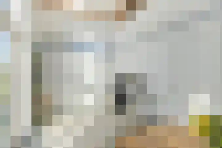 Waalbandijk 2 b Varik thumbnail 97