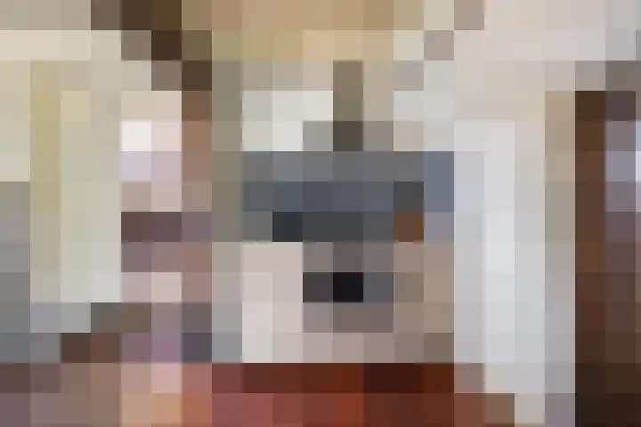 Waalbandijk 20 Gameren thumbnail 10