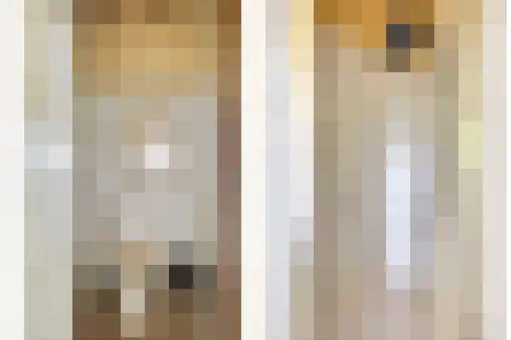 Waalbandijk 20 Gameren thumbnail 12