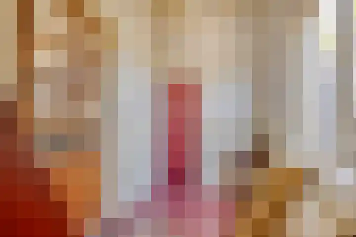 Waalbandijk 20 Gameren thumbnail 16